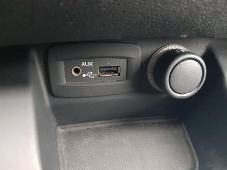 Renault Scenic 2.0 Bose Automatic picture 30