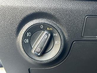 Seat Ibiza 1.0 TSI FR Business Intense D S G picture 25