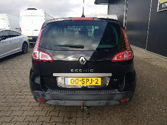Renault Scenic 1.4 TCe Bose picture 5