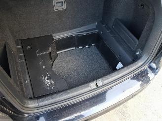 Volkswagen Passat 1.4 TSI Trendline BlueMotion picture 18