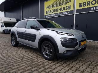 Citroën C4 cactus 1.2 PureTech Shine picture 6