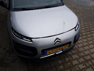 Citroën C4 cactus 1.2 PureTech Shine picture 9