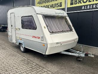 Beyerland  2035 picture 6