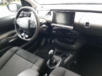 Citroën C4 cactus 1.2 PureTech Shine picture 19