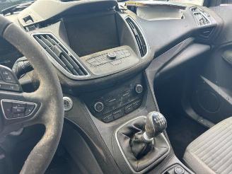 Ford C-Max C-Max (DXA), MPV, 2010 / 2019 1.0 Ti-VCT EcoBoost 12V 125 picture 19