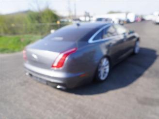 Auto da rottamare Jaguar XJ 3.0 D 2016/1