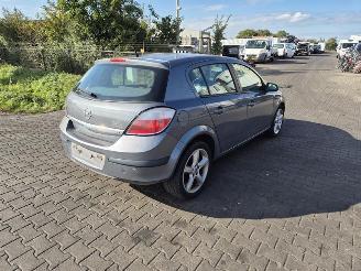 disassembly passenger cars Opel  ECOTEC 2005/1