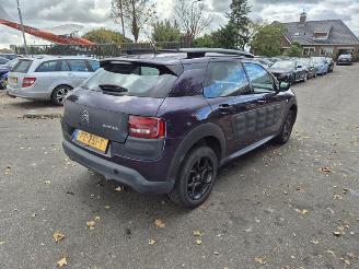 Avarii autoturisme Citroën C4 cactus 1.2 12V 2017/8