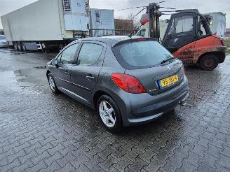 Peugeot 207 1.6 picture 2