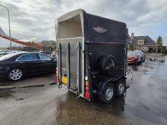 dommages véhicule remorque/semi-remorque -  Thiel Pico 2013/9