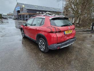 Peugeot 2008 1.2 16v picture 2