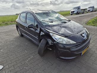 Peugeot 207 1.4 16v picture 4