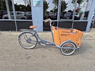 Vaurioauto  bicycles Overige  Baloe Curve 2020/2
