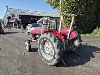 Massey Ferguson MF35 1965/1