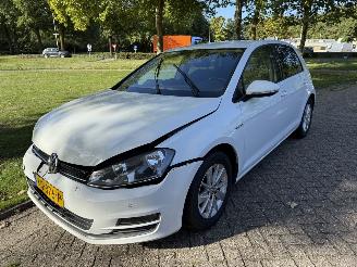 krockskadad bil auto Volkswagen Golf 1.0 tsi 2016/8
