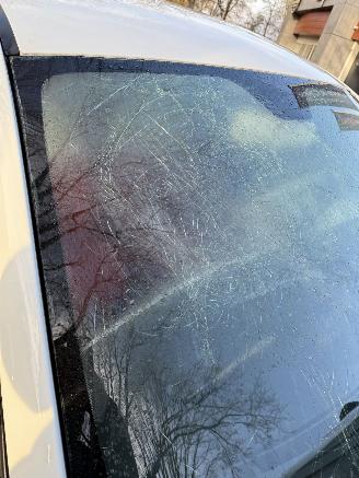 Fiat 500  picture 15