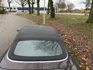 Audi A5 Cabriolet picture 9