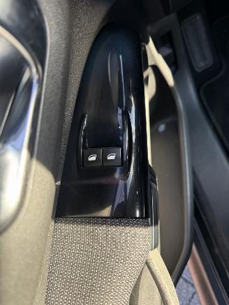 Citroën C4 cactus  picture 19