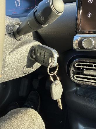 Citroën C4 cactus  picture 23