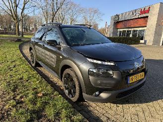Citroën C4 cactus  picture 7