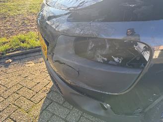 Citroën C4 cactus  picture 11