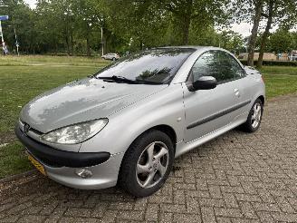 Unfallwagen Peugeot 206  2002/1