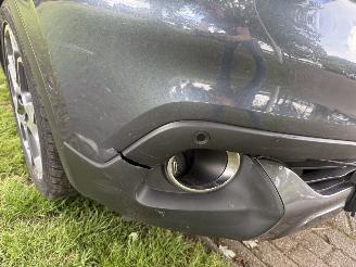 Renault Kadjar  picture 16