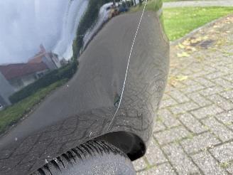 Seat Ibiza St picture 9