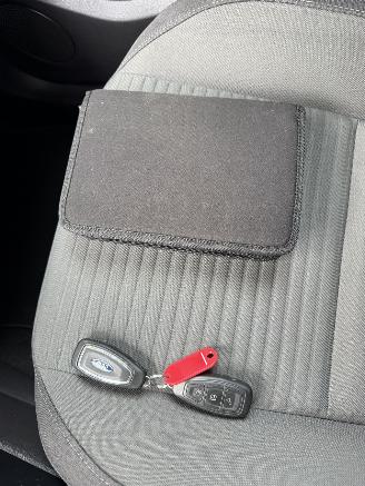 Ford Grand C-Max  picture 20