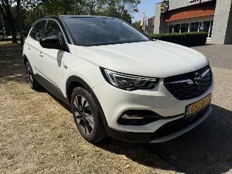 Opel Grandland X picture 7