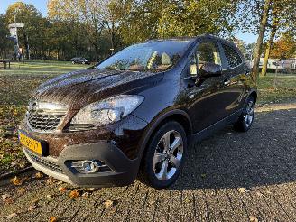 Damaged car Opel Mokka  2013/1