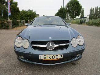 Mercedes Sl-roadster 550 - Panoramadak picture 9