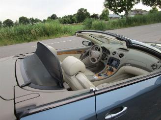 Mercedes Sl-roadster 550 - Panoramadak picture 30