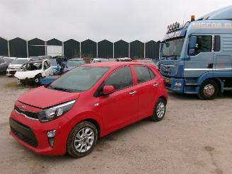 Auto incidentate Kia Picanto 1.0 Lounge  5 Drs Airco 2022/3