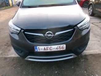 Opel Crossland 1.2 - 120 Jahre Edition picture 6