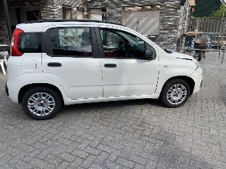 Fiat Panda Auto is gereserveerd 0.9 TwinAir Easy picture 23