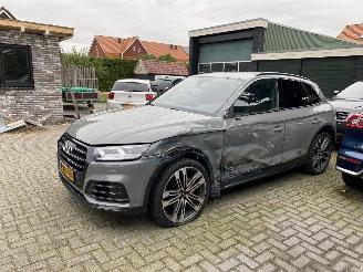 Audi SQ5 3.0 TFSI SQ5 Quattro Pro Line Plus picture 2