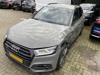 Audi SQ5 3.0 TFSI SQ5 Quattro Pro Line Plus picture 14