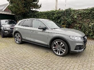 Audi SQ5 3.0 TFSI SQ5 Quattro Pro Line Plus picture 6