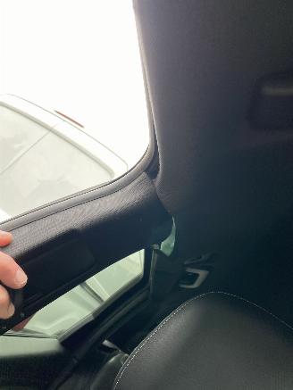 Audi SQ5 3.0 TFSI SQ5 Quattro Pro Line Plus picture 55