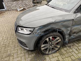 Audi SQ5 3.0 TFSI SQ5 Quattro Pro Line Plus picture 41