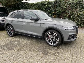 Audi SQ5 3.0 TFSI SQ5 Quattro Pro Line Plus picture 19