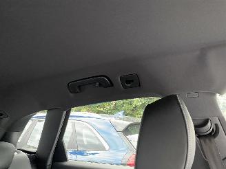 Audi SQ5 3.0 TFSI SQ5 Quattro Pro Line Plus picture 15