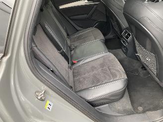 Audi SQ5 3.0 TFSI SQ5 Quattro Pro Line Plus picture 16