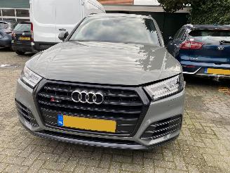 Audi SQ5 3.0 TFSI SQ5 Quattro Pro Line Plus picture 34