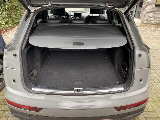 Audi SQ5 3.0 TFSI SQ5 Quattro Pro Line Plus picture 42