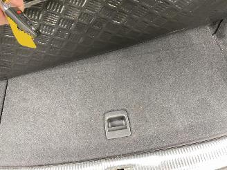 Audi SQ5 3.0 TSFI Quattro picture 36