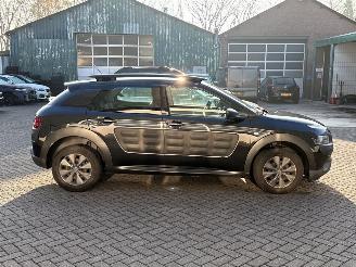 Citroën C4 cactus 1.6 Blue Hdi 100 Hatchback 4Dr Diesel 1.560cc 73kW (99pk) FWD picture 6