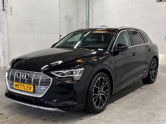 Avarii autoturisme Audi E-tron 50 quattro SUV  Elektrisch  230kW (313pk) 4x4 2019 2019/12