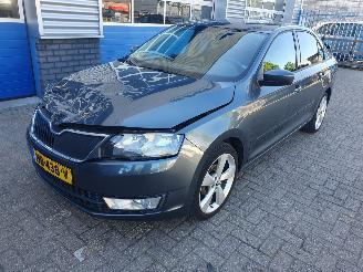 Schadeauto Skoda Rapid 1.2 TSI Greentech Elegance Businessline 2016/1